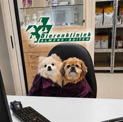 Dierenkliniek Almere Buiten, openingstijden