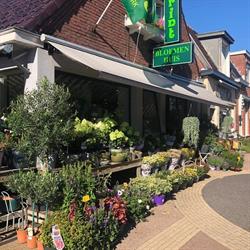Bloemenhuis Drint, Grijpskerk openingstijden