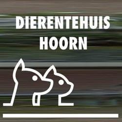 Hoorn Heberdina Japin-Timmer Dierentehuis, openingstijden