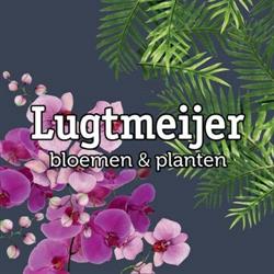 Lugtmeijer Bloemen, Wolvega openingstijden