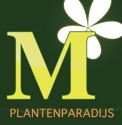 Moerkerk Plantenparadijs, Voorschoten openingstijden