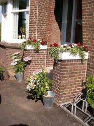 Bloemen Boerderij Boer, Barendrecht openingstijden