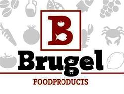 Brugel Handelsonderneming, Breda openingstijden