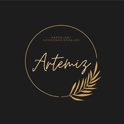 Artemiz Kapper Visagiste Schoonheidssalon, Waalwijk openingstijden