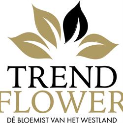 Trend Flower, Naaldwijk openingstijden