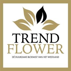 Trend Flower, Naaldwijk openingstijden
