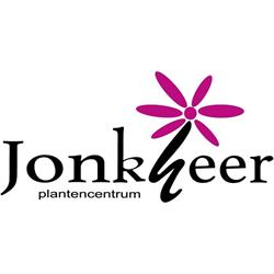 Jonkheer Plantencentrum, Hillegom openingstijden