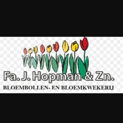 Hopman en Zn FA J, Egmond-Binnen openingstijden