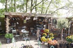 Tuinplanten De Jong, Rotterdam openingstijden