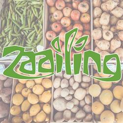 Zaailing, Leiden openingstijden
