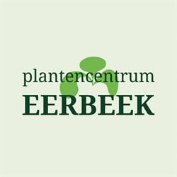 Eerbeek Bv Plantencentrum, Opheusden openingstijden