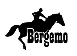 Bergemo Recreatie, Heijen openingstijden