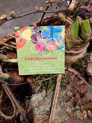 Fred's Bloementeam, Loosdrecht openingstijden
