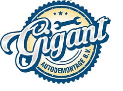 Gigant Autodemontagebedrijf Bv, Vlaardingen openingstijden