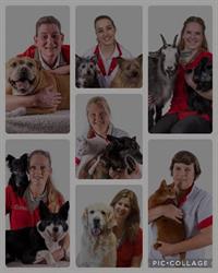Drie Weikes Dierenartsenpraktijk, Oud Gastel openingstijden