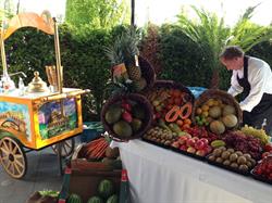 De Fruithal, Werkendam openingstijden
