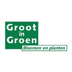 Groot in Groen Bloemen en Planten, Alkmaar openingstijden