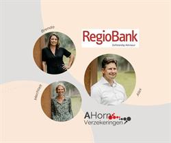 Ahorn Verzekeringen, Paterswolde openingstijden