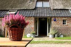 Bed and Breakfast Annen, openingstijden