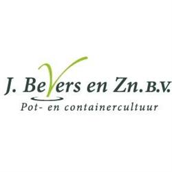 Bevers en Zn Bv J, Wernhout openingstijden