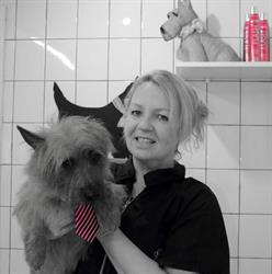 Polman Hondensalon Sandra, Hengelo openingstijden