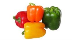 Numan Paprika, Heerhugowaard openingstijden