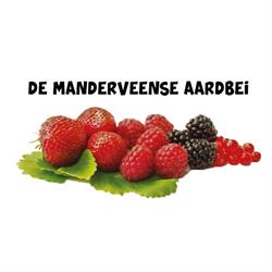 De Manderveense Aardbei, openingstijden