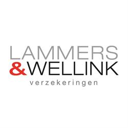 Lammers en Wellink Assurantiën Hypotheken, Winterswijk openingstijden