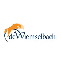 De Wiemselbach, Oud Ootmarsum openingstijden