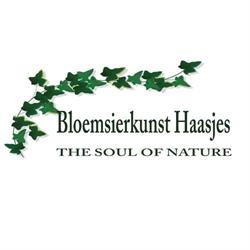 Haasjes BV Bloemsierkunst T, Bilthoven openingstijden
