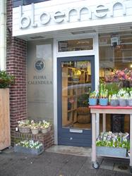 Flora Calendula, Dordrecht openingstijden