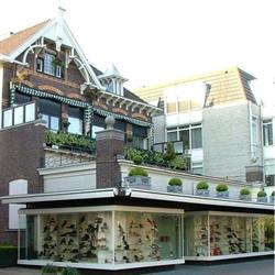 Delsink Modeschoenen, Renkum openingstijden