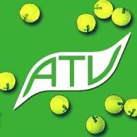 Amerongse Tennis Vereniging, Amerongen openingstijden
