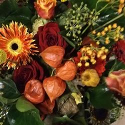 Anthurium Bloemisterij, Venlo openingstijden