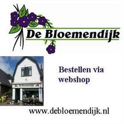 De Bloemendijk, Honselersdijk openingstijden