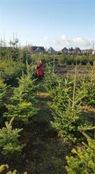 Kloots Hoveniersbedrijf H J, Loon openingstijden