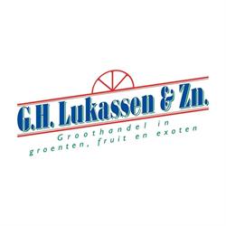 Lukassen & Zn Bv G H, Nieuwegein openingstijden