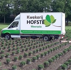 Hofsté Kwekerij, Weerselo openingstijden