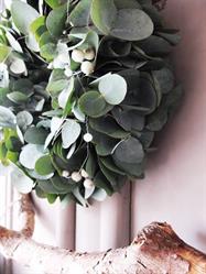 Alexandra's Decoraties, Wateringen openingstijden