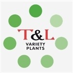 T & L Variety Plants, Nieuwveen openingstijden