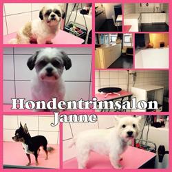 Janne Hondentrimsalon, Deurne openingstijden