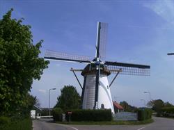 Molen van Rockanje, openingstijden