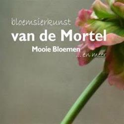 Mortel Bloemsierkunst Vd, Sint Anthonis openingstijden