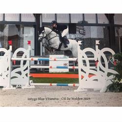 Vitanova Paardensportcentrum, Son en Breugel openingstijden