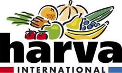 Harva International Bv, Waddinxveen openingstijden