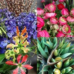 Bloemen en Kadoboetiek "De Veenbloem", Smilde openingstijden
