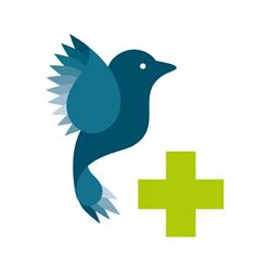 Vogelrampenfonds Stichting, Haarlem openingstijden