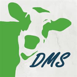 Dirksen Management Support, Beusichem openingstijden