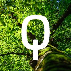 Queisen Hoveniersbedrijf Bv, Meerssen openingstijden