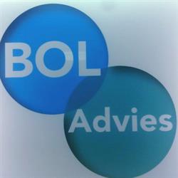 Bol-Advies Assurantieadviseur, Bussum openingstijden